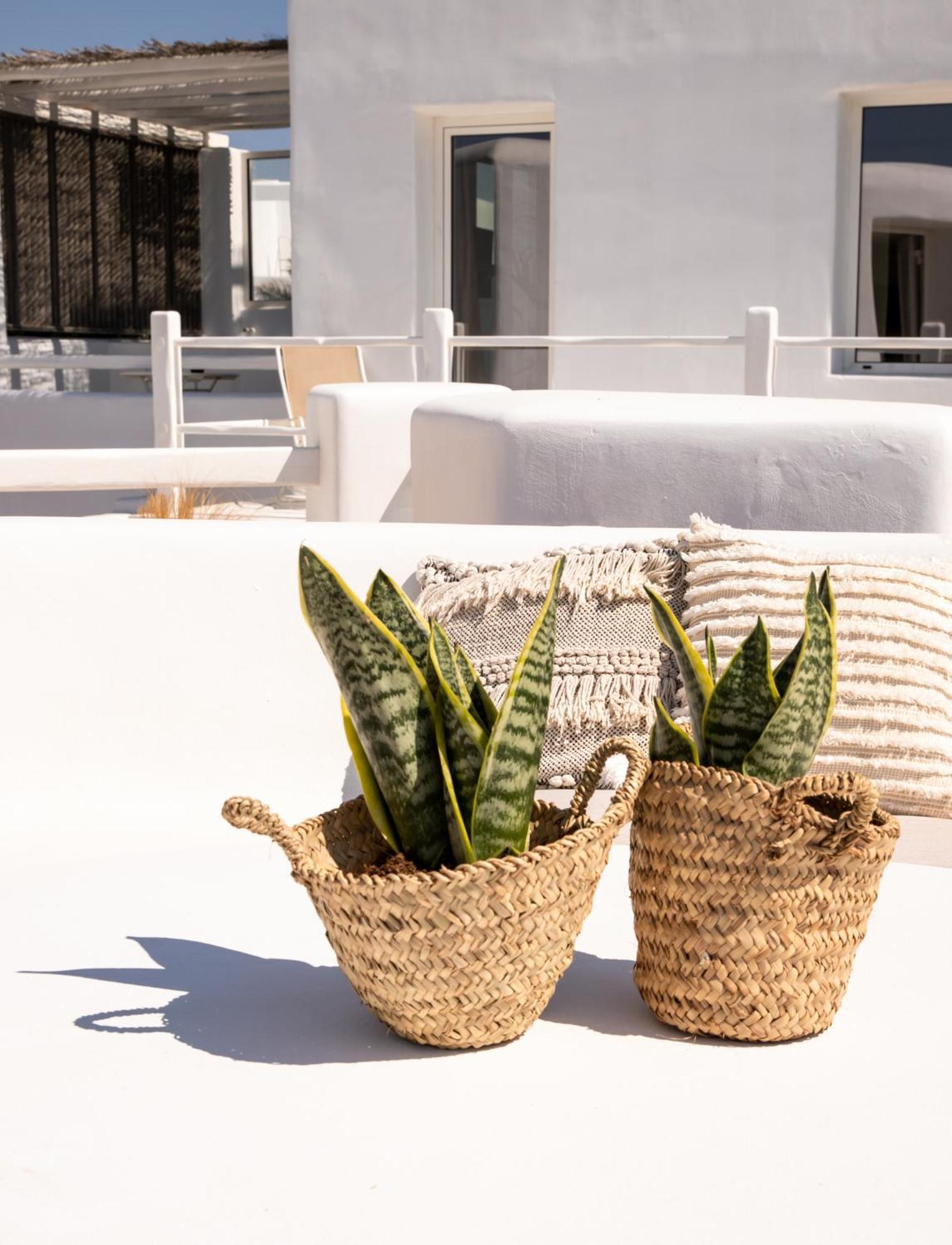 Rocabella Mykonos Hotel Agios Stefanos  Eksteriør billede